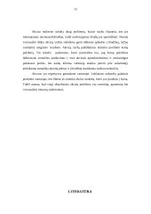 Akcizų problemos Lietuvoje 12 puslapis