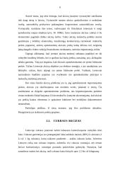 Akcizų problemos Lietuvoje 6 puslapis