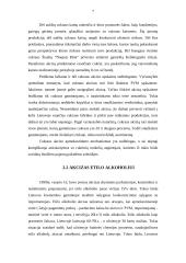 Akcizų problemos Lietuvoje 7 puslapis