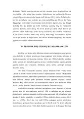 Akcizų problemos Lietuvoje 9 puslapis