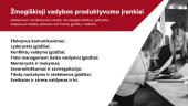 Psichologinio konsultavimo praktikumas. Produktyvumo didinimas 13 puslapis