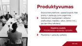 Psichologinio konsultavimo praktikumas. Produktyvumo didinimas 3 puslapis