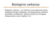 Profesinės rizikos veiksniai (skaidrės) 13 puslapis