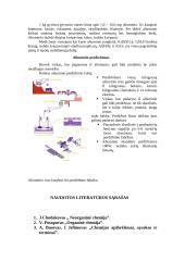 Aliuminis ir jo reikšmė žmogaus veikloje 15 puslapis