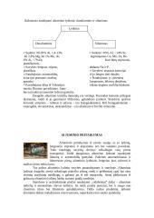 Aliuminis ir jo reikšmė žmogaus veikloje 4 puslapis