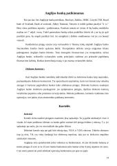 Anglijos pinigų ir bankinės sistemos raida 14 puslapis