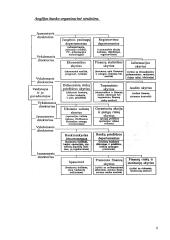 Anglijos pinigų ir bankinės sistemos raida 8 puslapis