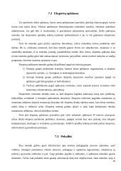 Apklausos tyrimų metodas 19 puslapis