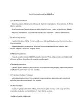 Istorija apie barokinį Vilnių 2 puslapis