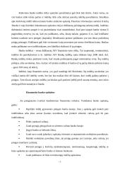 Banko indėliai 3 puslapis