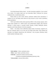 Bankų ir parabankų sistema 2 puslapis