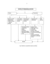 Bankų ir parabankų sistema 4 puslapis