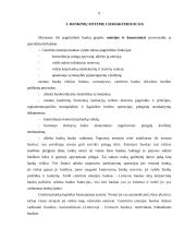 Bankų ir parabankų sistema 5 puslapis