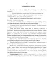 Bankų ir parabankų sistema 7 puslapis
