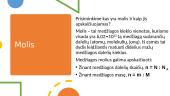 Molis ir Avogadro dėsnis 2 puslapis