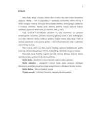 Lietuvos bankinės sistemos raidos ypatumai 3 puslapis