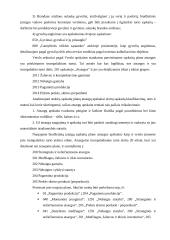 Biudžetinių įstaigų ir verslo įmonių sąskaitų planų palyginimas 11 puslapis