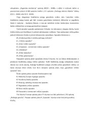 Biudžetinių įstaigų ir verslo įmonių sąskaitų planų palyginimas 15 puslapis