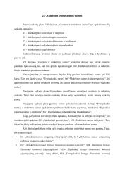 Biudžetinių įstaigų ir verslo įmonių sąskaitų planų palyginimas 18 puslapis