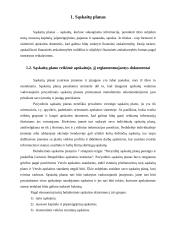 Biudžetinių įstaigų ir verslo įmonių sąskaitų planų palyginimas 3 puslapis