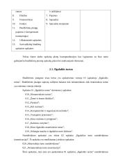 Biudžetinių įstaigų ir verslo įmonių sąskaitų planų palyginimas 8 puslapis