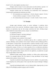 Biudžetinių įstaigų ir verslo įmonių sąskaitų planų palyginimas 10 puslapis