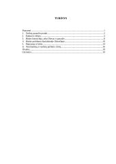 Būtis ir pasaulis 2 puslapis