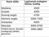 Neatsinaujinantys ištekliai 12 puslapis