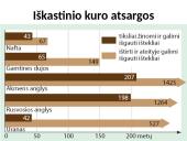 Neatsinaujinantys ištekliai 13 puslapis