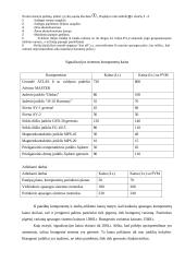 Buto apsauga 14 puslapis