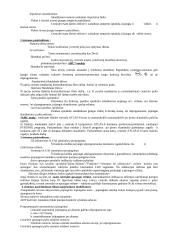 Buto apsauga 20 puslapis