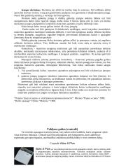 Buto apsauga 8 puslapis