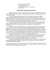 Buto apsauga 10 puslapis