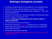 Stafilokokai ir streptokokai 10 puslapis