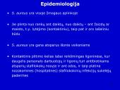 Stafilokokai ir streptokokai 11 puslapis