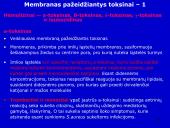 Stafilokokai ir streptokokai 18 puslapis