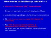 Stafilokokai ir streptokokai 19 puslapis