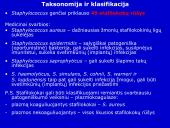 Stafilokokai ir streptokokai 2 puslapis