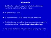 Stafilokokai ir streptokokai 5 puslapis