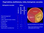 Stafilokokai ir streptokokai 6 puslapis
