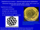 Stafilokokai ir streptokokai 8 puslapis