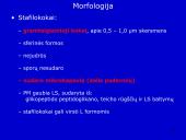 Stafilokokai ir streptokokai 9 puslapis