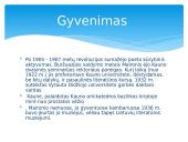 Maironis: gyvenimas ir kūryba  6 puslapis