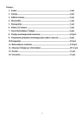 Čekijos integracija į Europos Sąjungą (ES) 2 puslapis