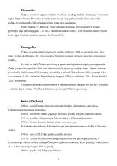 Čekijos integracija į Europos Sąjungą (ES) 5 puslapis