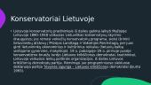 Konservatizmas dabar 14 puslapis
