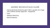 Skaidrės apie Adomą Mickevičių