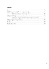 Čigonų padėtis Lietuvoje socialinė charakteristika 2 puslapis