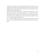 Čigonų padėtis Lietuvoje socialinė charakteristika 12 puslapis