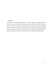 Čigonų padėtis Lietuvoje socialinė charakteristika 13 puslapis